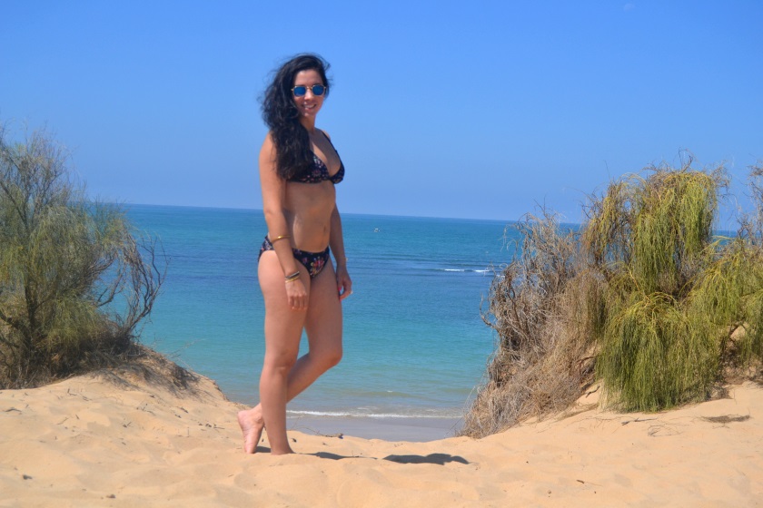 pureBCH-Wildfox Bikini
