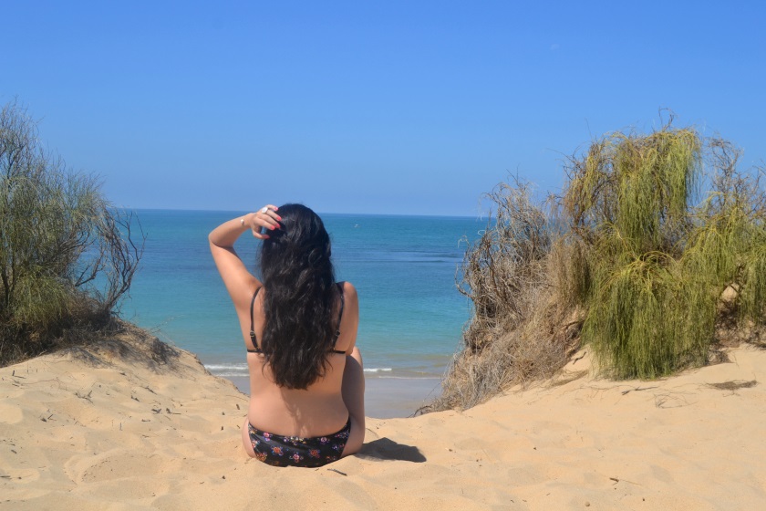 pureBCH-Wildfox Bikini