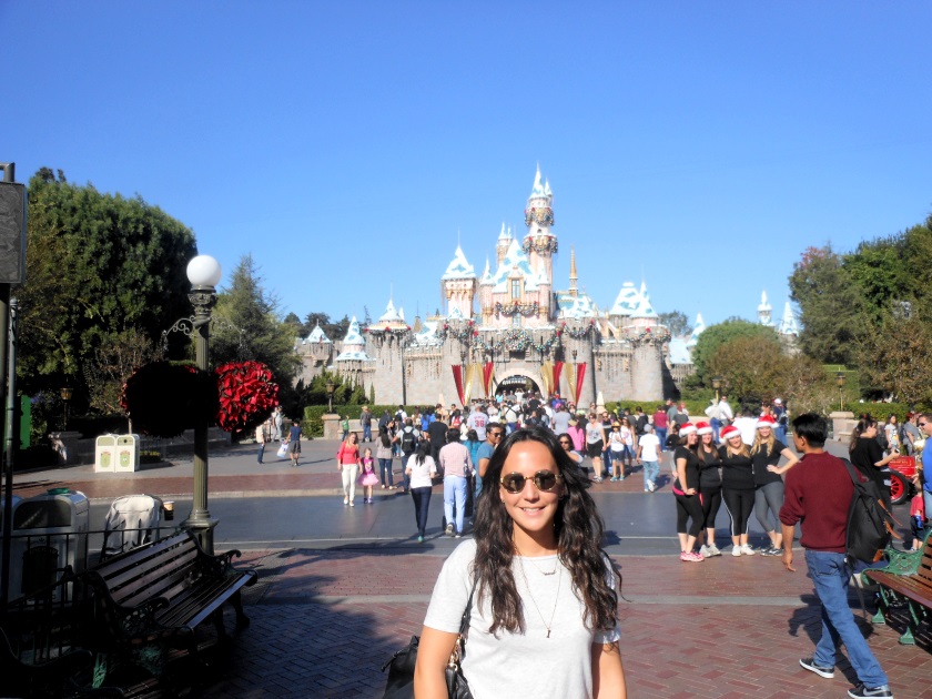 pureBCH-Disney