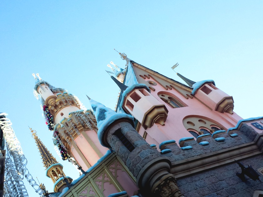 pureBCH-Disney