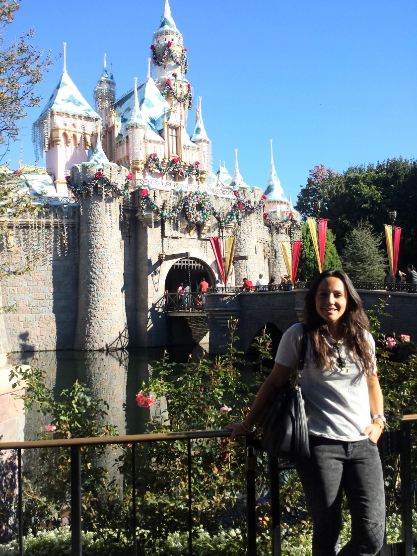 pureBCH-Disney