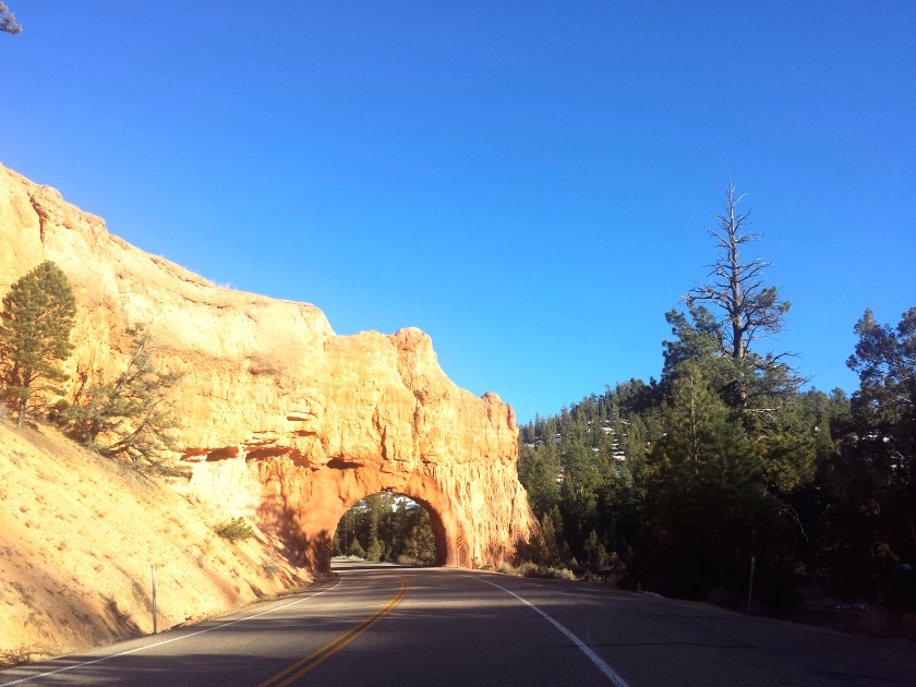 Bryce Canyon pureBCH