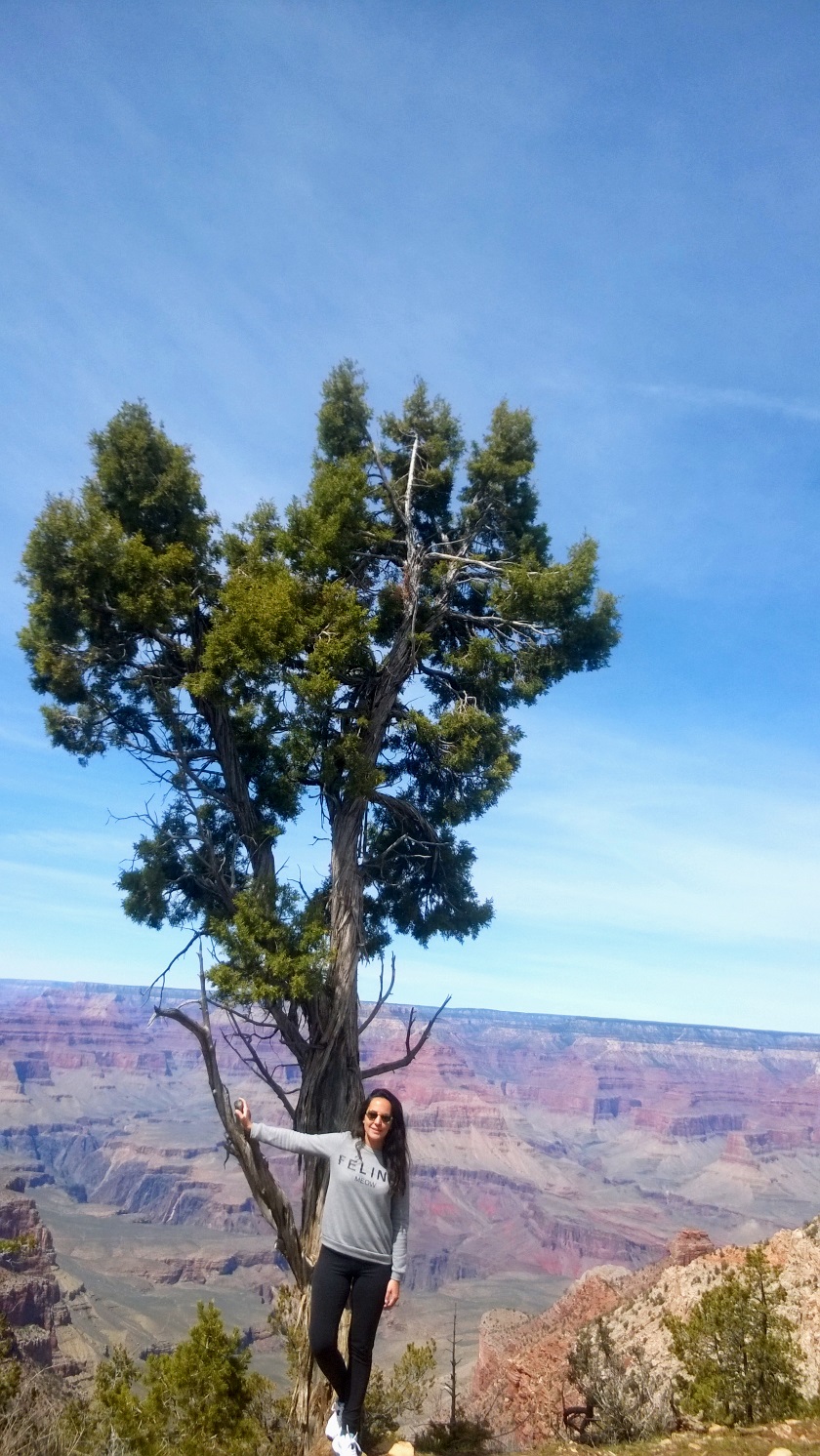 Grand Canyon pureBCH