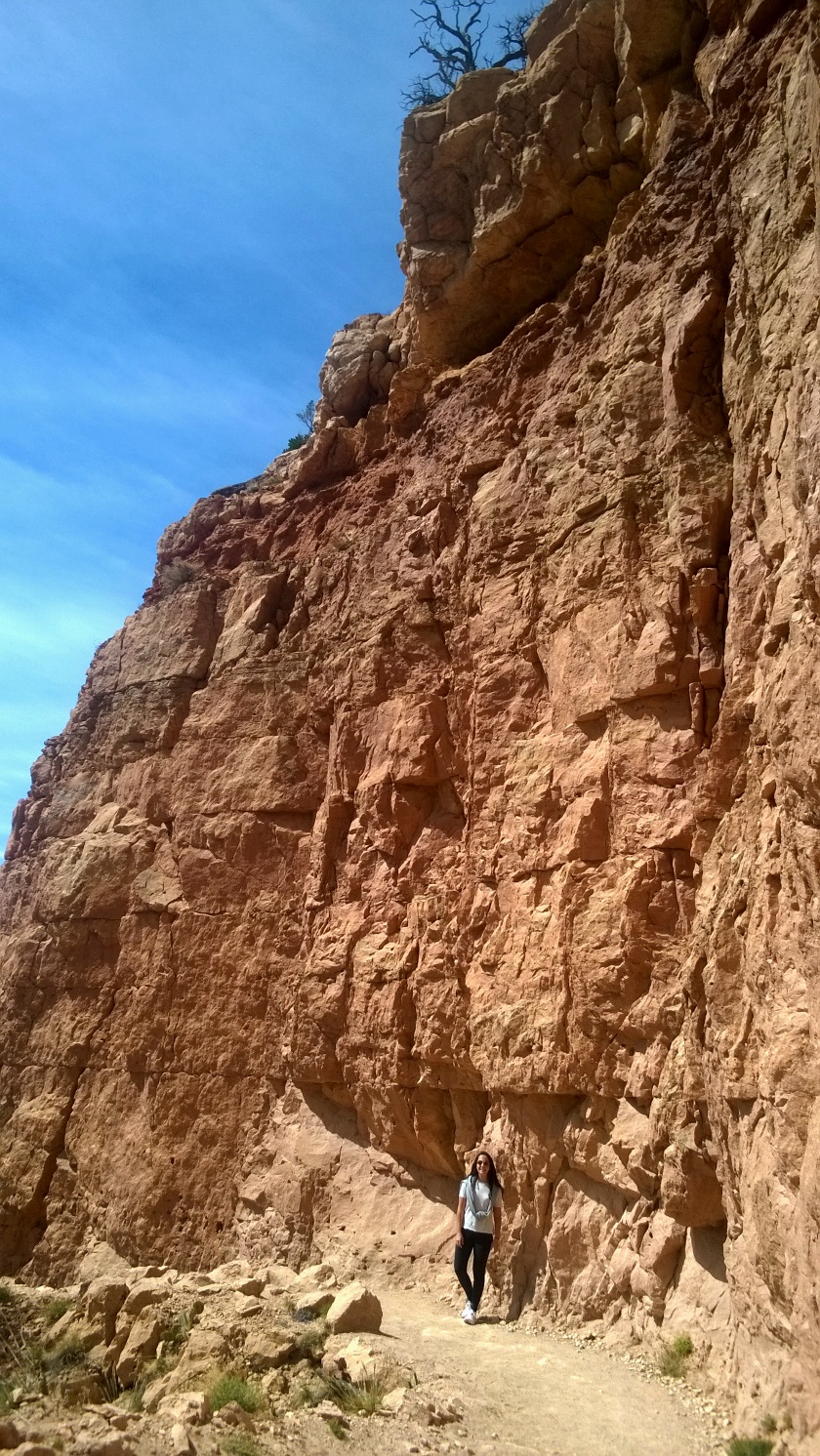 Grand Canyon pureBCH