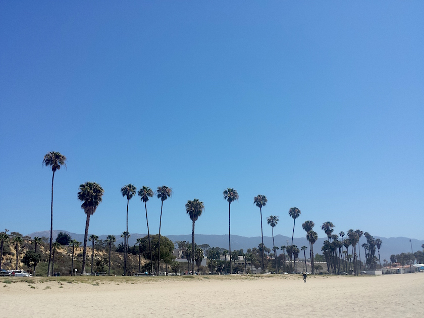 pureBCH-California