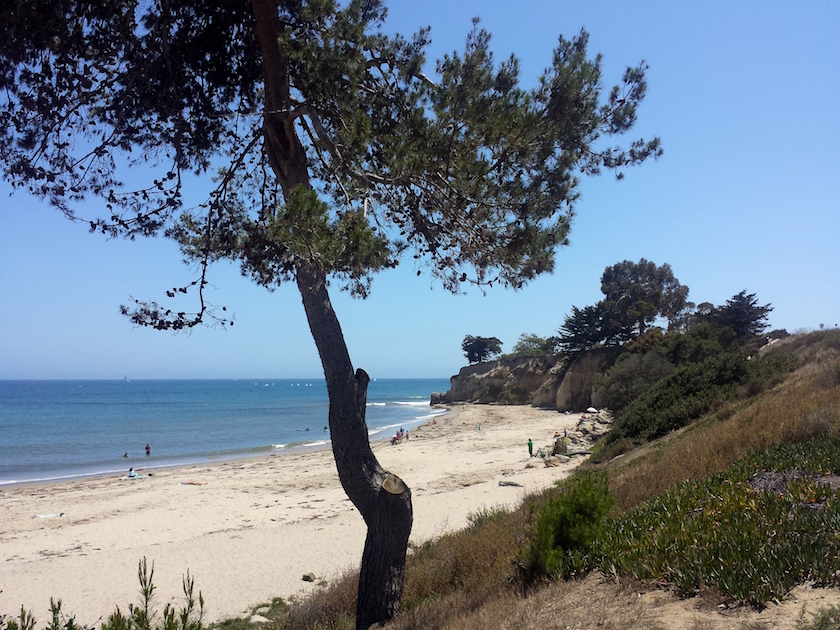 pureBCH-California