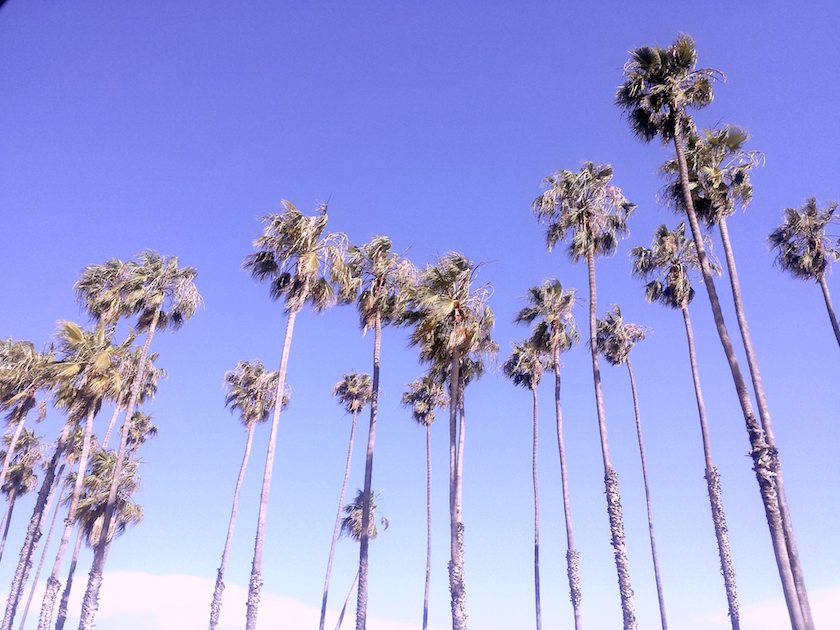 20150626_170737
