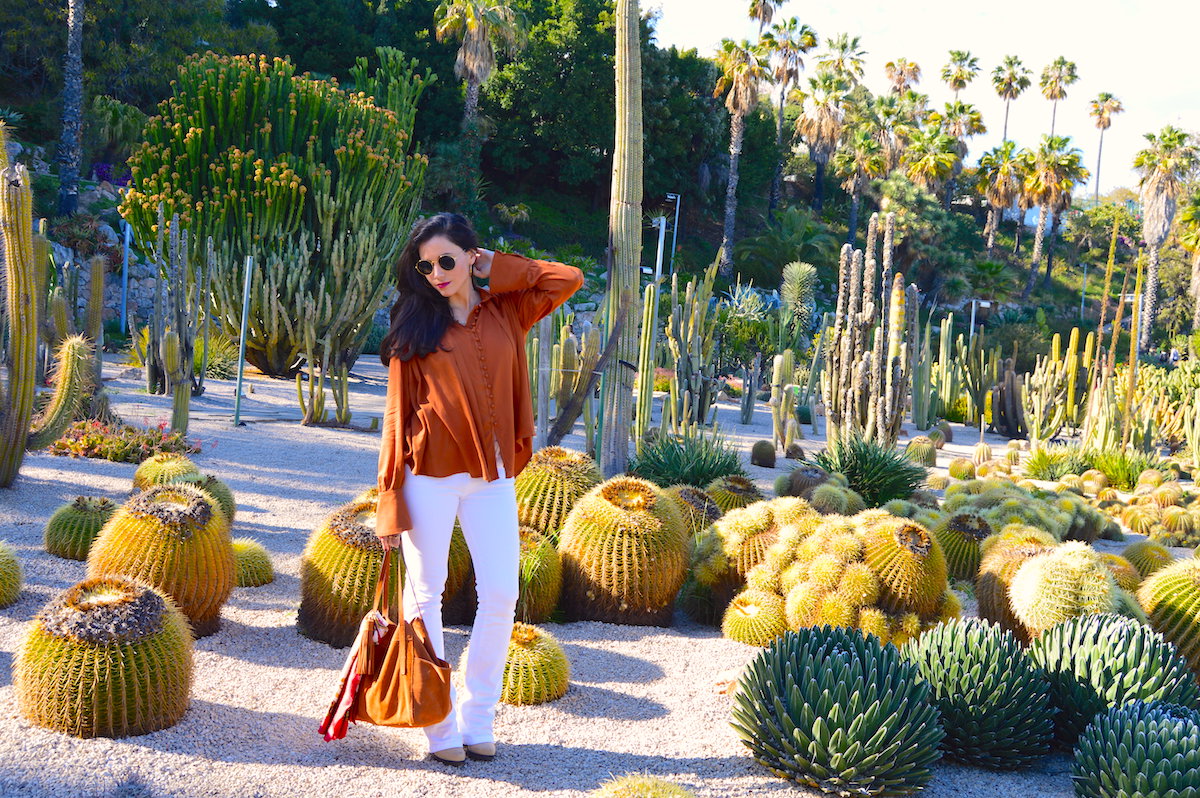 pureBCH-cactuslife